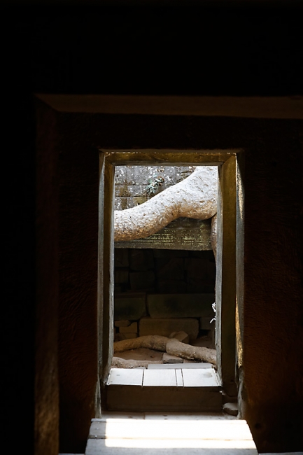 Ta Phrom et environs-127